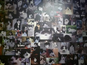 'LoL; A Decade of Antic Art' at the Contemporary Museum, Baltimore 2 Pruitt