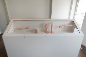 The anatomical casts on the flip side of the display case.