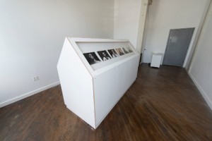 A view of Nora Salzman's display case and portraits as part of "Studies and Specimens."