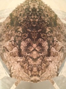 Leigh Van Duzer, detail of "Horse Head," 2011. 12" x 20" x 12". Archival pigment print.