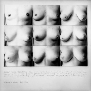 Wilson breast forms