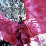 Another kind of festival--Art in the Open in June 5 barbatacostume