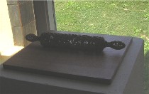 blackburnthickorthin