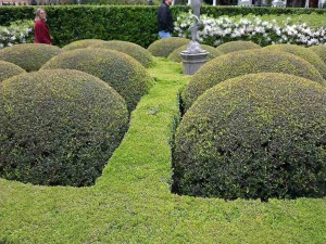 calhounmansiontopiary