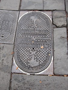 Charleston sidewalk water meter cover, decorated with palmetto trees, which also are on the South Carolina state flag.
