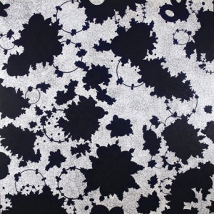 clarencemorgan clarencemorgan