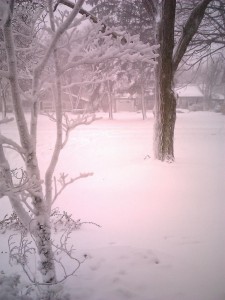 clevelandblizzard clevelandblizzard1