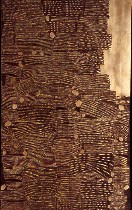 coopermusclebuildinglores