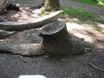 cumminblowlandlongboat