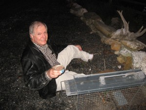 Dennis, the official trapper for the Cowanegobu raccoon relocation society, baiting the raccoon trap with cat food.