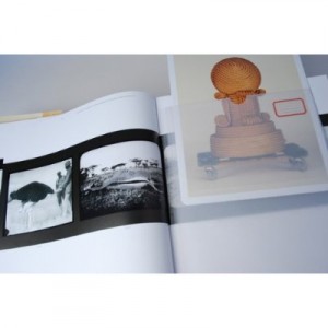 Books for Holiday Gifts 2011 (part 2) 12 dion open book2