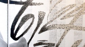 Scott Elk in Sydney 3 elk 20