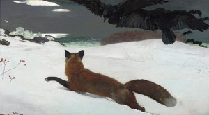 foxhunt