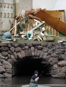 grizzlycard3 grizzlycard3