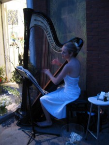 harpist harpist