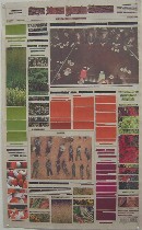 hoarcadiapowerandpowerlessness