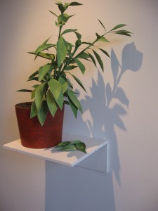 IMG_5223 Joseph Hu, Chocolate Bell Pepper, Gouache and acrylic on paper and cardboard, 24 x 20 ½ x 12 inches, 2010