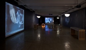 joanjonaswillbrownweb joanjonaswillbrownweb