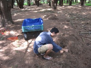 leeandwagon leeandwagon