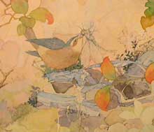 Weekly Update - Watercolor, Some Animals and Apes 7 liubirdcroprf