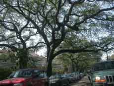 "Do you know what it means... 2 liveoaksm