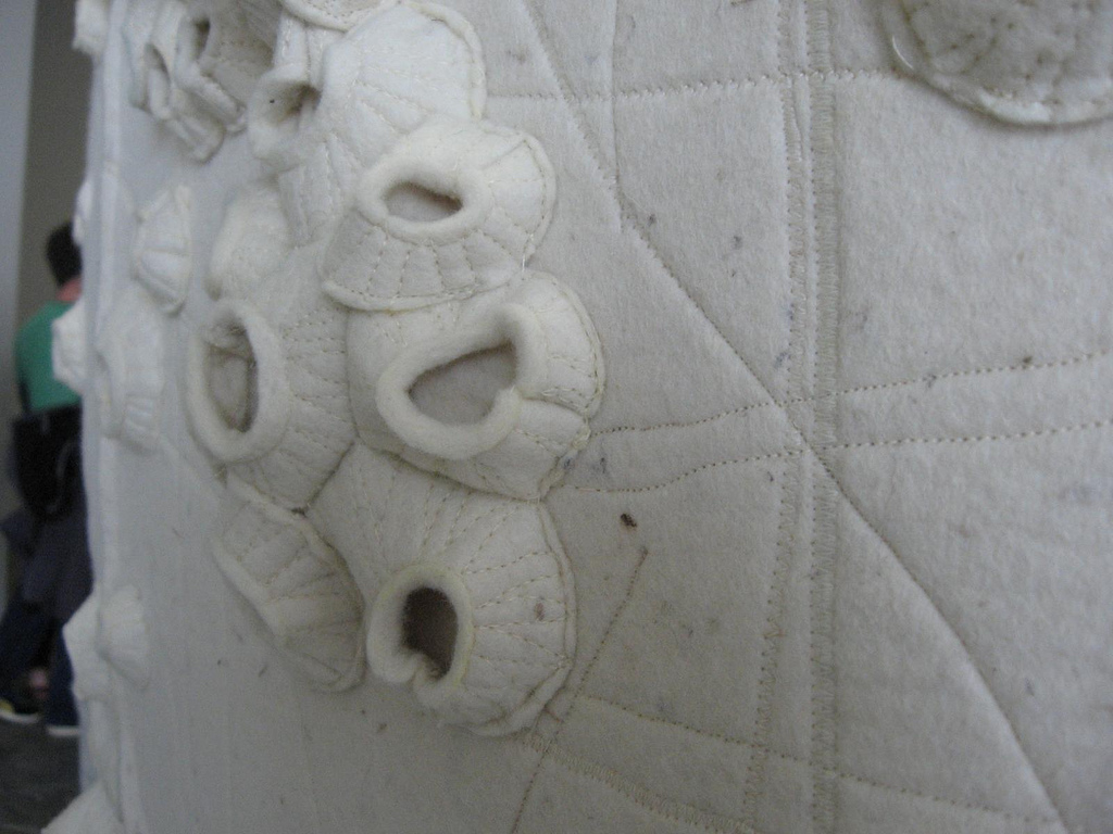 Tristin Lowe, detail of barnacles, Mocha Dick