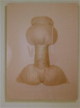 Compression and refinement 4 mednickpillowtorso