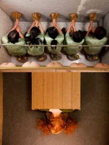 mikarottenberg2 mikarottenberg2