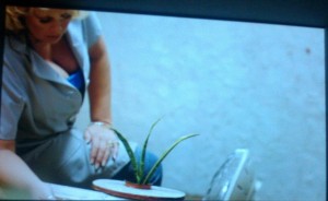 mikarottenberg2lr mikarottenberg2lr