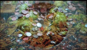 mikarottenbergrf mikarottenbergrf