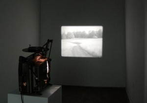 Victoria Fu, The Milk of the Eye, installation view.