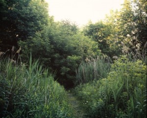 onondaga trail onondaga trail