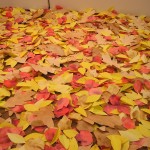 Joseph Hu and Mauro Zamora: Forest Reverie at Vox 4 p10102232