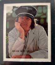 Weekly update - Summer and ICA 4 pettibonebrianwilsonrf