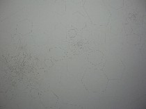 pollockeveryinfiniteplaceinspace