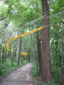 prenticeyellowzinger prenticeyellowzinger