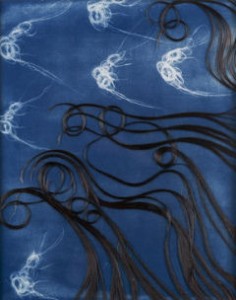  Rebecca Reeves "Photophore W.C. no.01" , 2011-2012 Cyanotype Print, Human Hair, Layered Plexiglas photo credit: Jason Wierzbicki 22" x 18" 