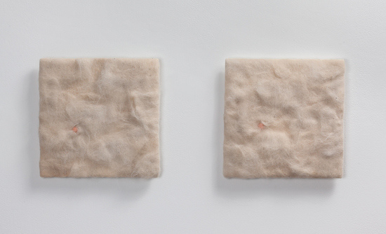 Scoopy Peanut (versions (1, a) and (1, b)) Astrid Bowlby, 2013. Cat hair and chewing gum mounted to panel.