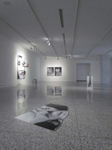 Installation view of Marlo Pascual. The Galleries at Moore College of Art & Design, Philadelphia. September 14 – October 19, 2013.