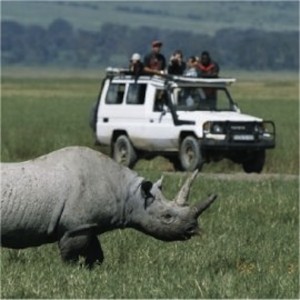 safari jeep kenyaweb