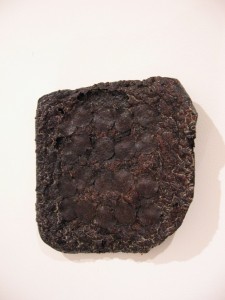 Matthew Savitsky, Collaboration, 2009, burned pizza, polyurethan, 10 x 10 x 2 inches