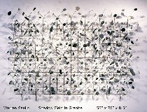 seligshadowfieldingranite