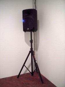 sharonhayes sharonhayes1