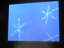 Blue Sky Impermanence 1 simmonsdesertsnowrf