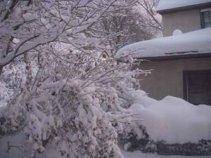 snowdayjan272011