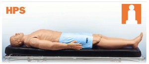 Stan the "Man," a Human