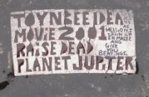 toynbee16locustunderwater