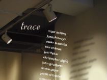 tracedet
