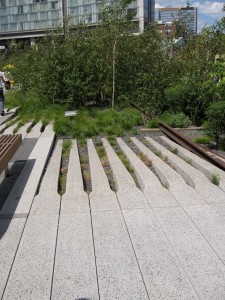 The walkway dips and rises to protect the plantings from the people