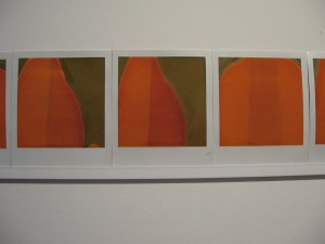 Linda Yun, After RM, detail from row of 13 polaroids